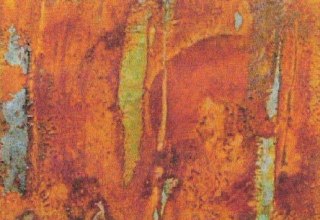 &copy; Eva-Maria Reser