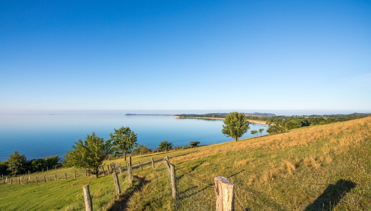 Discover Moenchgut in summer (c) Kurverwaltung Goehren Martin Stoever _08-2016_P5I9863, © Kurverwaltung Goehren / Martin Stoever