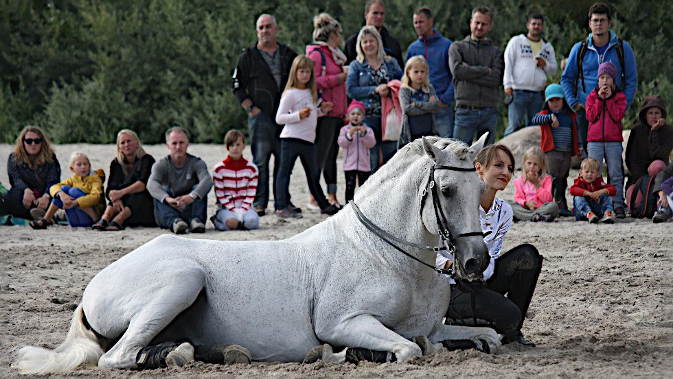 Występ na plaży na Rugii. // &copy; Pferdetheater/Detlef Witt