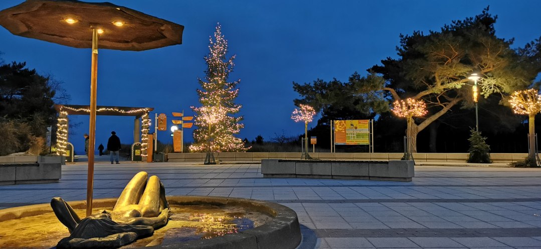 Świąteczny koncert instrumentów dętych blaszanych, © IMG_20211126_163027.jpg Świąteczny koncert instrumentów dętych blaszanych, © IMG_20211126_163027.jpg