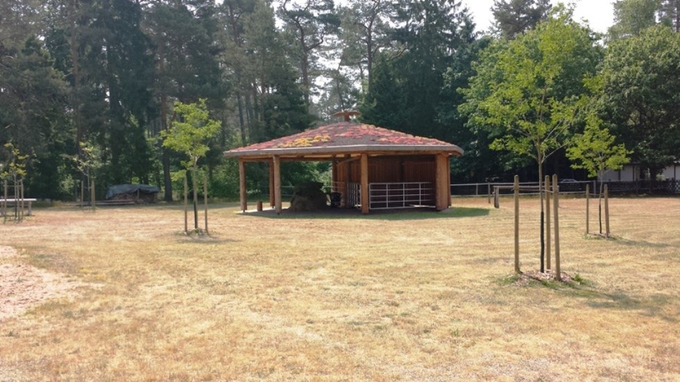 Gastpaardenweiden en een open paardenstal verwelkomen ruiters en paarden in het vakantiecomplex Am Walde in Wooster Teerofen., © Thamm