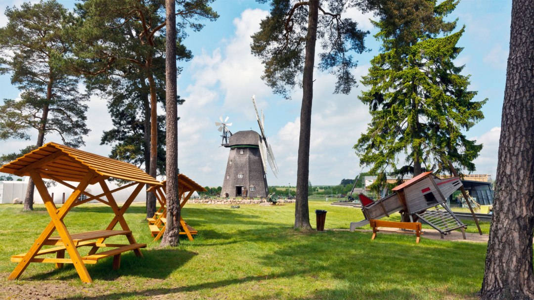 Witryna w AGRONEUM Alt Schwerin, © MuSeEn gGmbH_Rolf Beinert