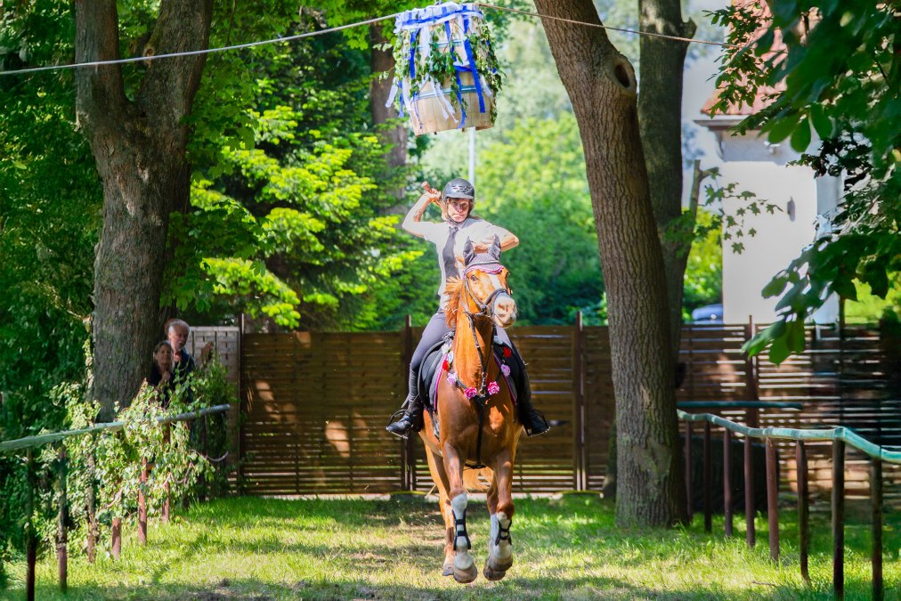 Boje Barth odpadają, &copy; Arndt Gl&auml;ser (KI erweitert)