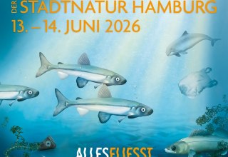 Poster for the Long Day of CityNature // &copy; Loki Schmidt Stiftung