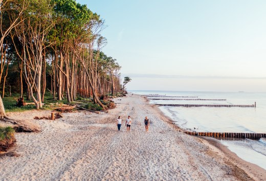 Drie mensen lopen op het strand. Links is het kustbos en rechts de Baltische Zee.