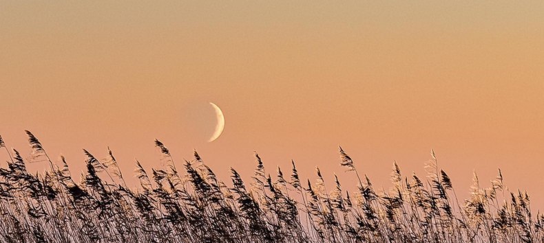 &copy; Kurverwaltung M&ouml;nchgut