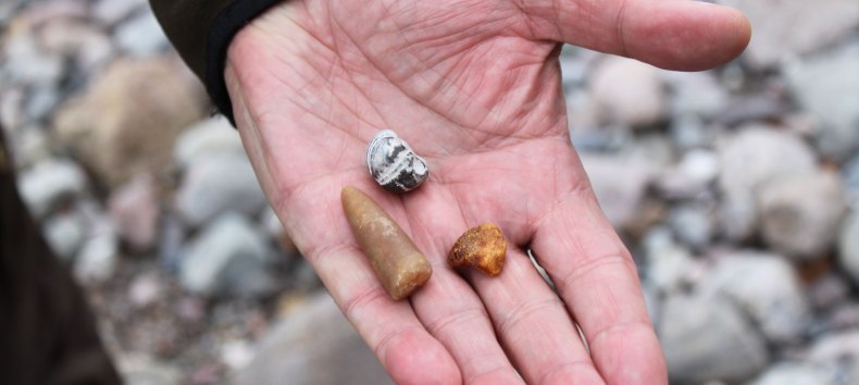 &copy; Biosph&auml;renreservat S&uuml;dost-R&uuml;gen