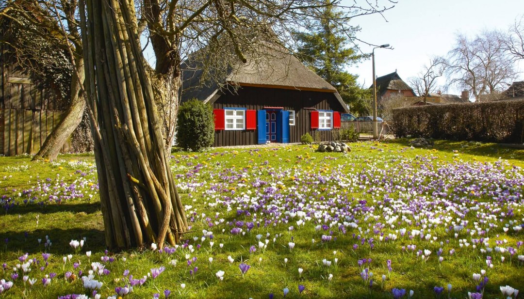 Zicht op een huis met een rieten dak in het resort Born a. Darß., © TMV/Grundner