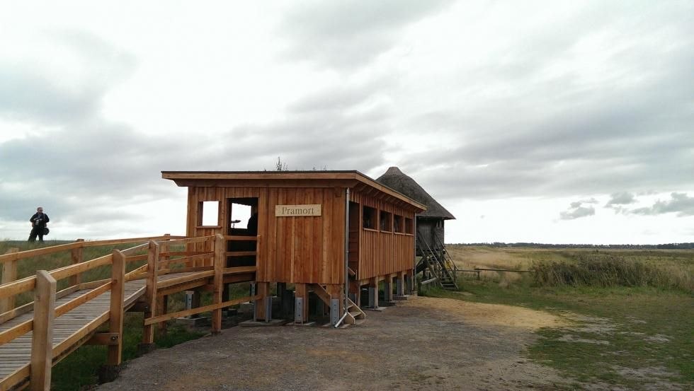 Drempelvrij kraanobservatieplatform Pramort, © Nationalparkamt Vorpommern