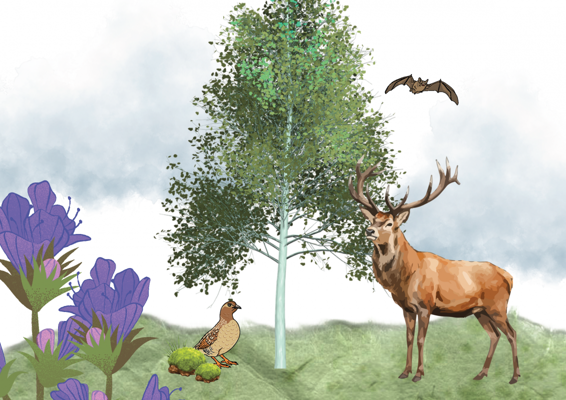 Graphic created with Canva // &copy; M&uuml;ritzeum