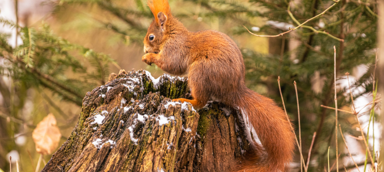 © Andreas Hartl © Andreas Hartl