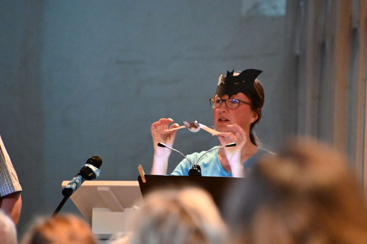 An informative presentation as part of Bat Night // © Förderkreis Kirche Damshagen An informative presentation as part of Bat Night // © Förderkreis Kirche Damshagen