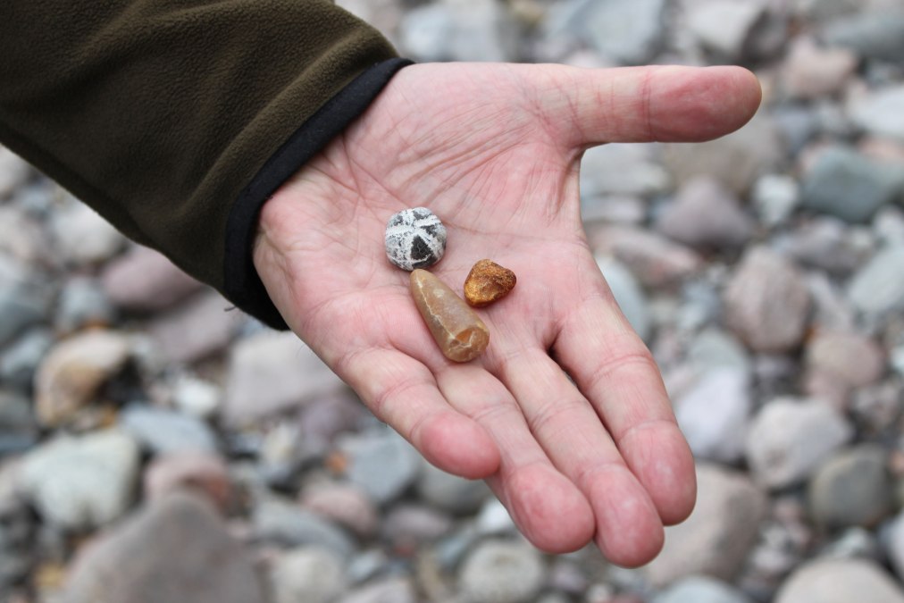 Beach finds, © Biosphärenreservatsamt Südost-Rügen