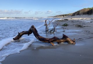 © Nationalparkamt Vorpommern © Nationalparkamt Vorpommern