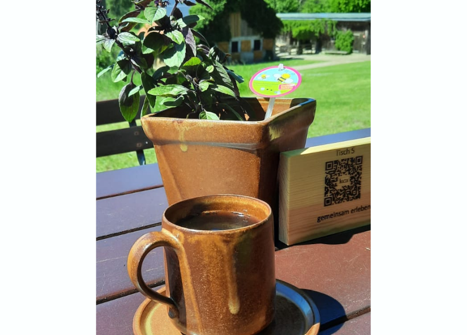 mueritzhof cup, © Waren (Müritz)-Information