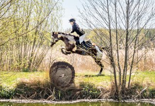Baltic Sea Horse Hunt // &copy; Martha Eugenia Bende