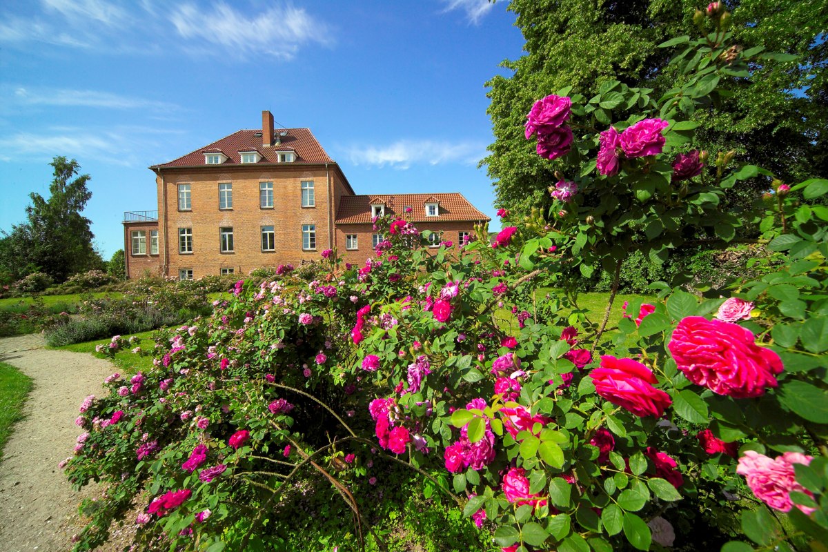 Gottin Rose Park with over 2,000 roses in more than 200 varieties // © Gutshaus Gottin Gottin Rose Park with over 2,000 roses in more than 200 varieties // © Gutshaus Gottin