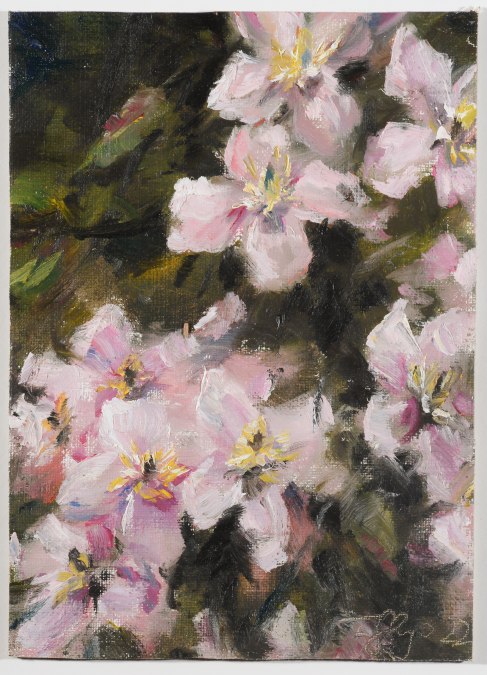 Frauke Gloyer_Clematis_2022_Olej na płótnie, © Ina Steinhusen