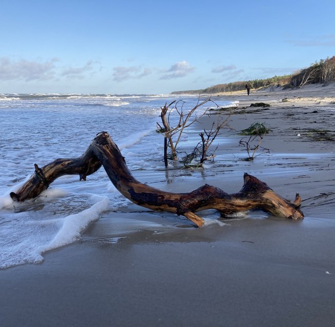 © K. Baerwald © K. Baerwald