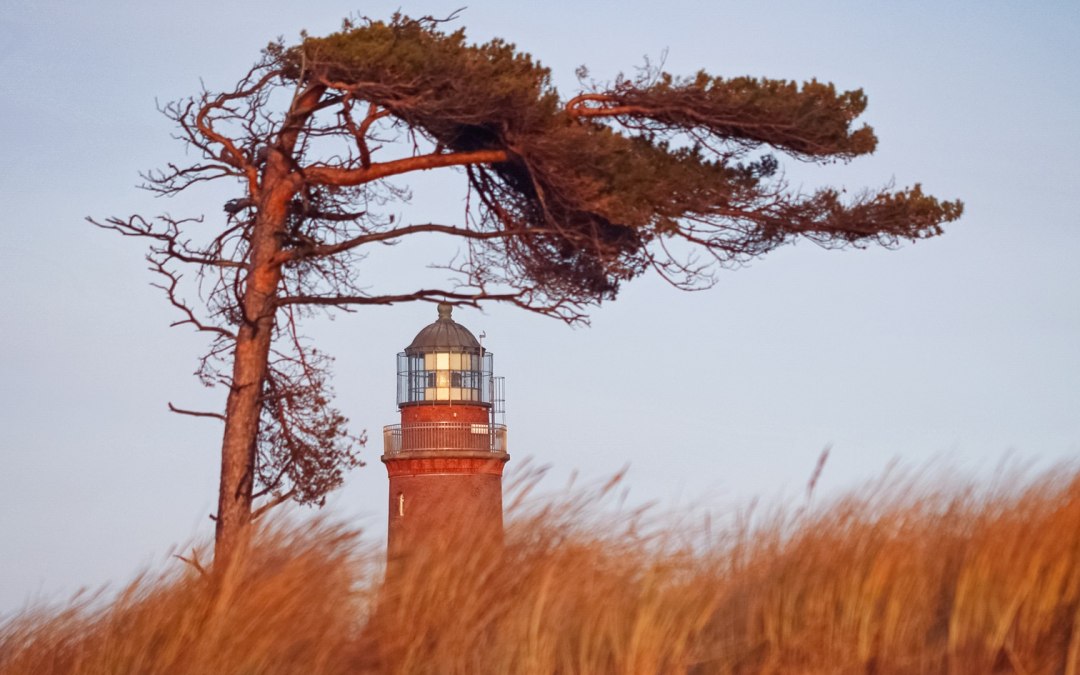 Het Darßer Weststrand is versierd met een vuurtoren, die deel uitmaakt van het NATUREUM., © Anke Neumeister/Deutsches Meeresmuseum