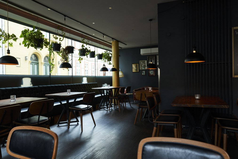 SenorZorro, © Senor Zorro_Tommy Hetzel