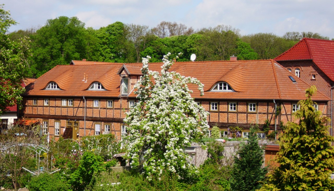 DSCI0061, &copy; M.H&ouml;ppner