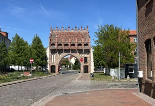 &copy; Gina Schulenberg