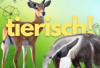 © Lydia Möcklinghoff, Dr. Frauke Fischer.