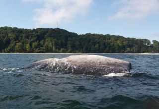 &copy; Kurverwaltung Goehren