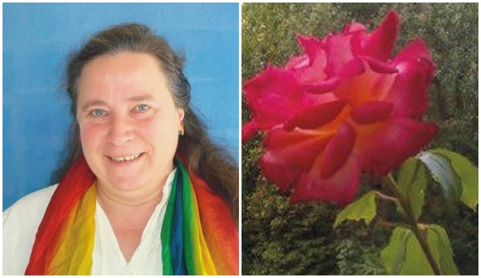 Marita Zimmer - Training Coaching Consultancy, © Marita Zimmer - Training Coaching Beratung