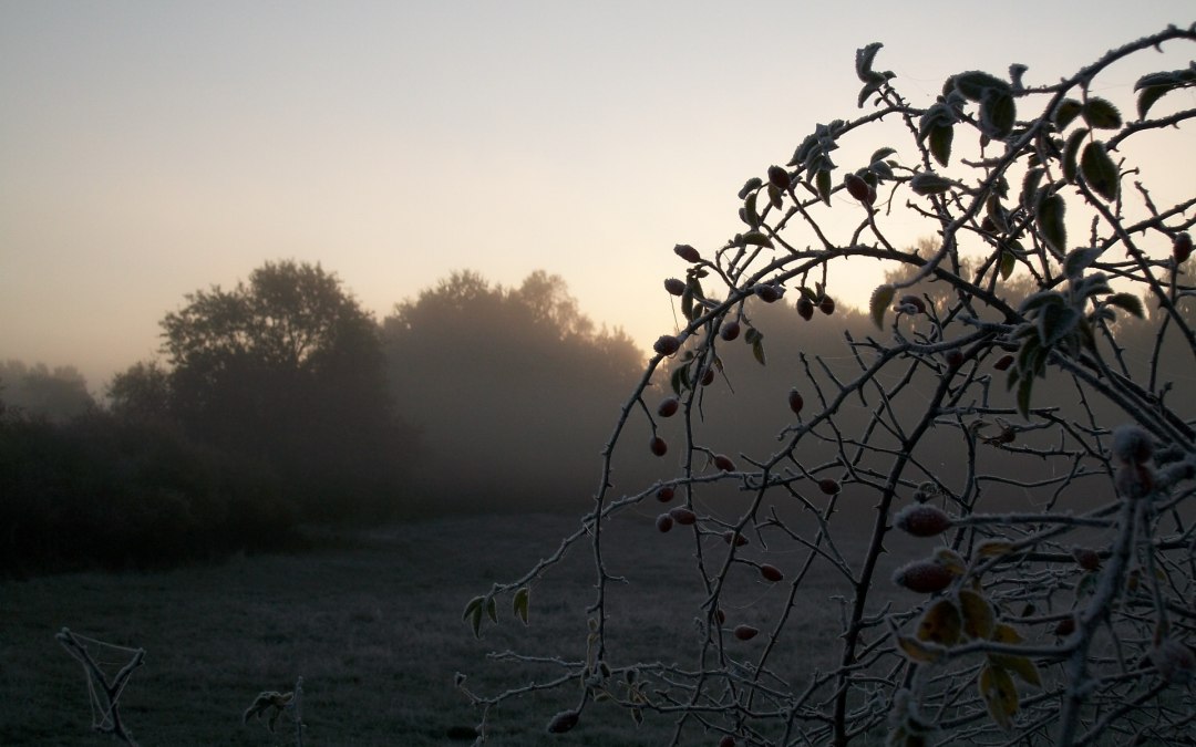 Jesienna atmosfera w Hullerbusch, © Heidegunde Voigtländer