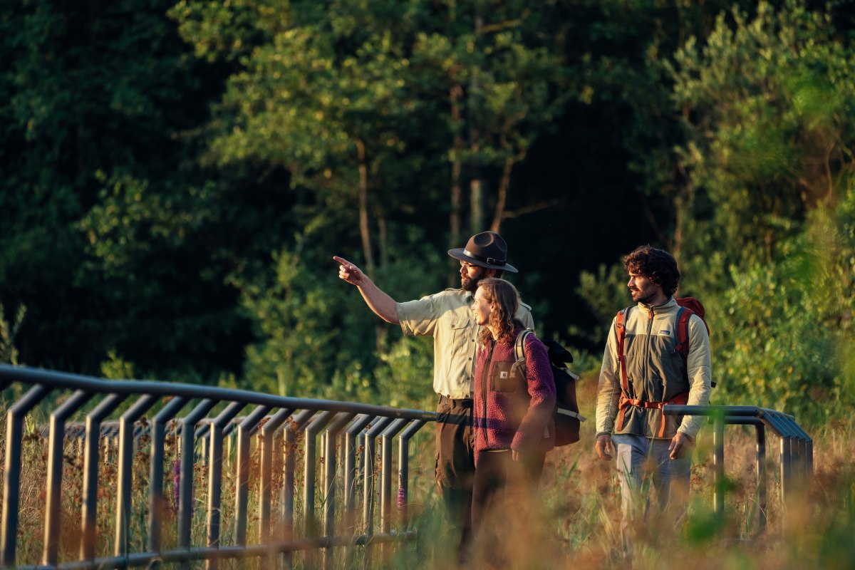 &copy; Felix Gaensicke