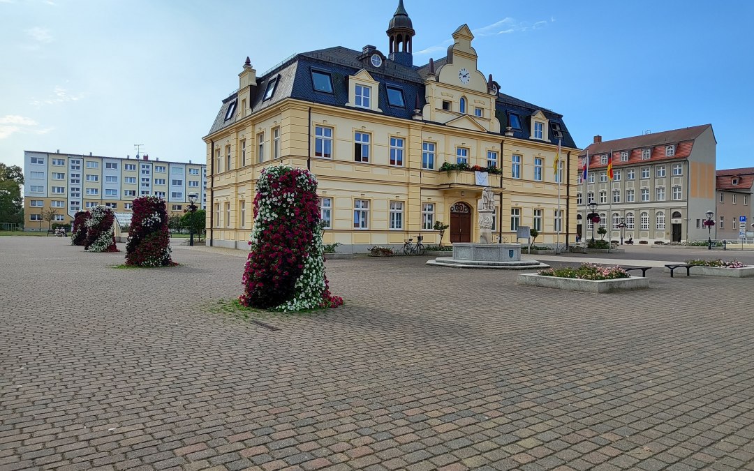 Widok na rynek, © Hansestadt Demmin