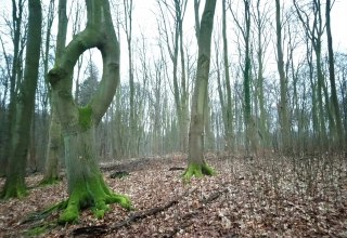 © Jana Koch © Jana Koch