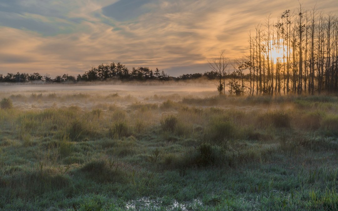 nationaal park, © Klaus-Herbert Schröter