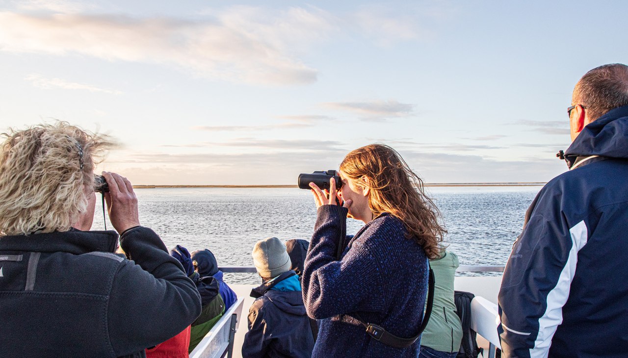 Kranich-003, &copy; Wei&szlig;e Flotte GmbH