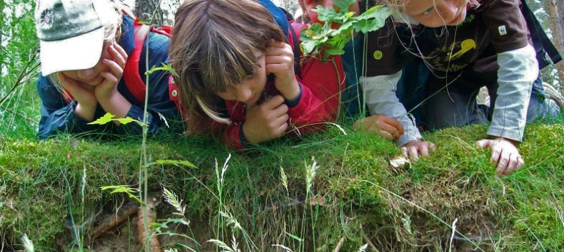 Search for clues for young and old // &copy; Foto: Nationalparkamt M&uuml;ritz