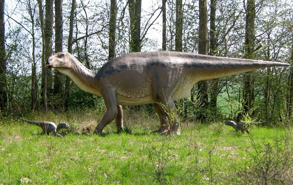 w Krainie Dinozaur&oacute;w na Rugii // &copy; Tourismuszentrale R&uuml;gen