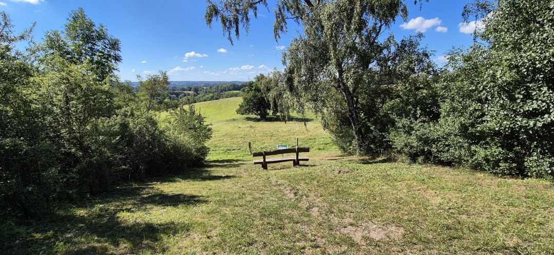 20250831_120933, © Gina Schulenberg 20250831_120933, © Gina Schulenberg