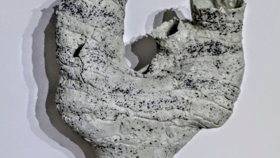 © Ramona Ponomarew-John © Ramona Ponomarew-John