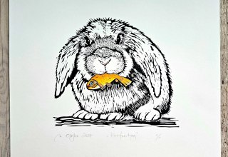 &copy; Marta Olejko