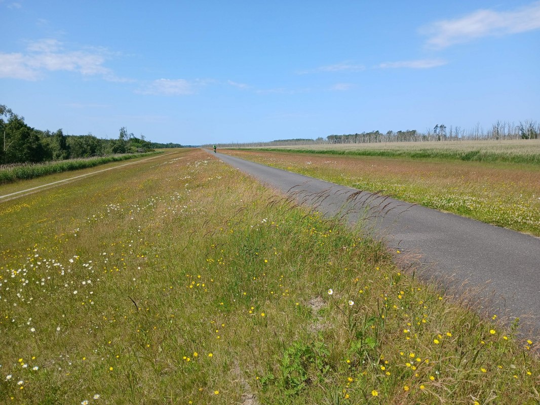 Dyke in the Sundische Wiese // © Angela Pfennig Dyke in the Sundische Wiese // © Angela Pfennig