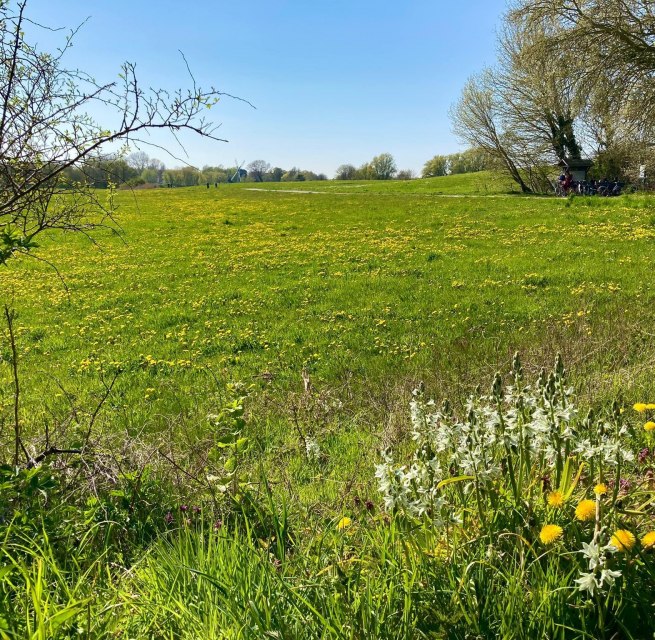 &copy; Kurverwaltung Ahrenshoop
