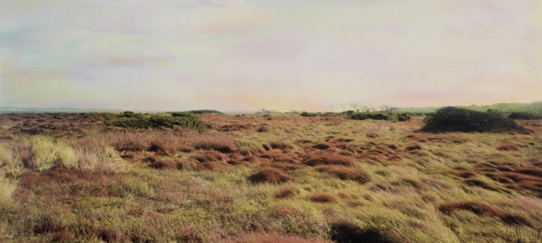 &copy; Tim Steingens