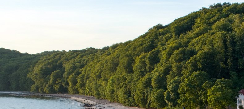 © Binzer Bucht Tourismus © Binzer Bucht Tourismus