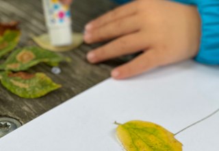 Maak met glas-in-lood en servetkunst kleurrijke herfstmotieven voor in huis. // © Kunstsammlung Neubrandenburg Maak met glas-in-lood en servetkunst kleurrijke herfstmotieven voor in huis. // © Kunstsammlung Neubrandenburg