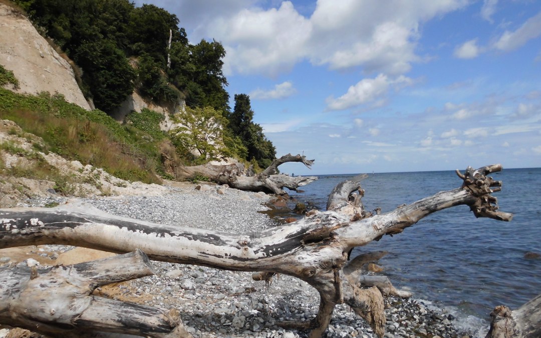 Steile kust bij Sassnitz, © C.Rühle