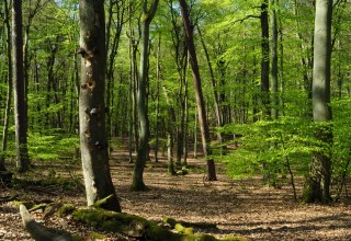 &copy; B. L&uuml;thi Herrmann