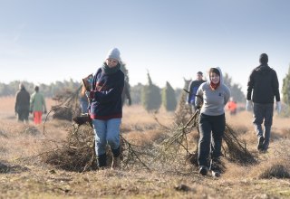 © Matthäus Holleschovsky - Bergwaldprojekt e. V.
