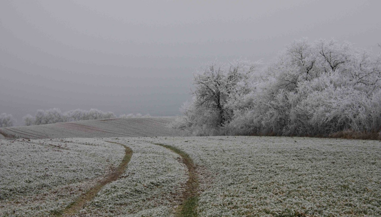 Winter landscape, &copy; Gudrun Marin-Ziegler